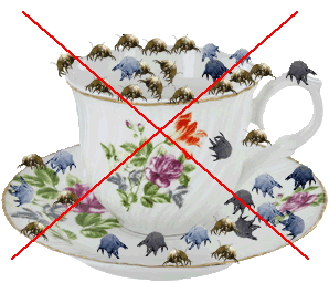 wrong way to store teacups