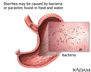 diarrhea-virus