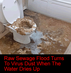 toilet flood
